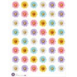 48 stickers marguerites aquarellées