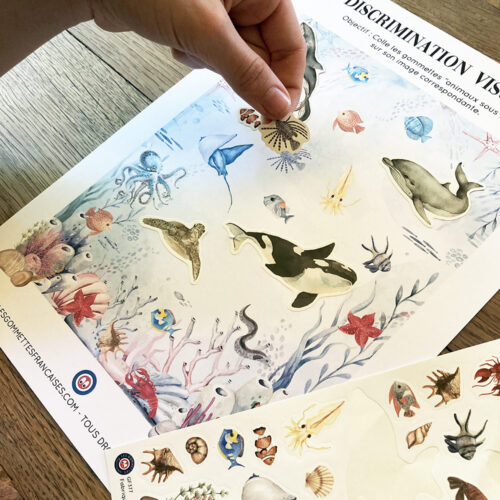 Fichier d'activités de l'Été en gommettes | Les Gommettes Françaises